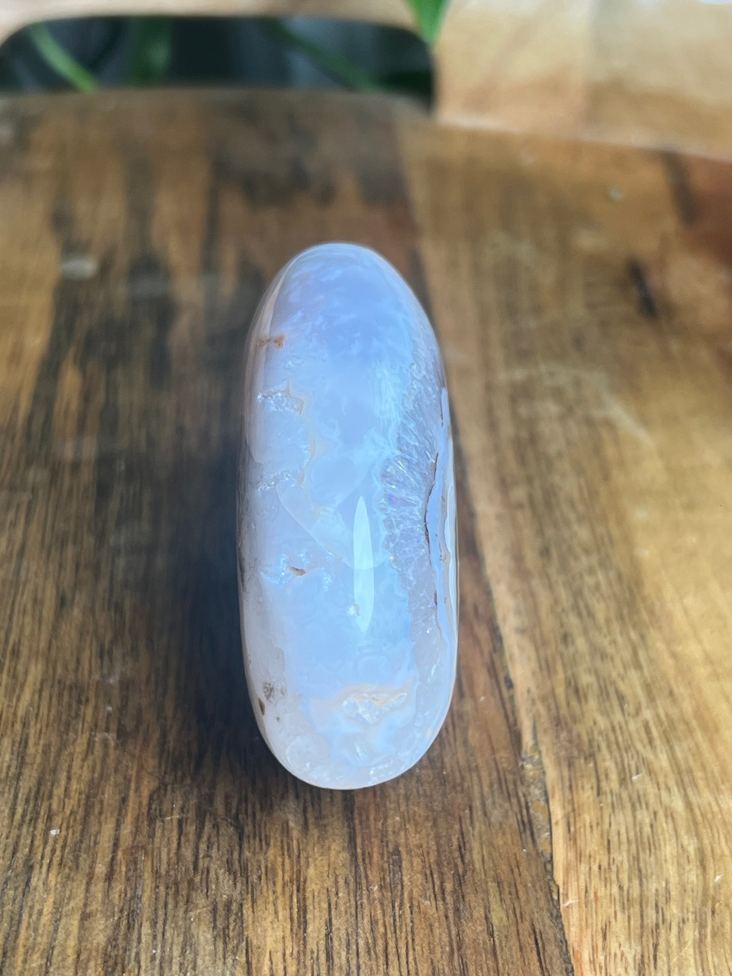 Scenic Moss Agate Bear BX
