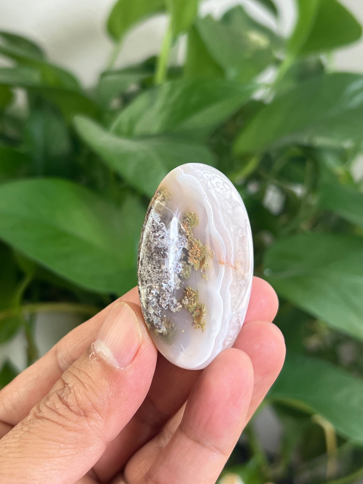 Scenic Moss Agate Palmstone: BE