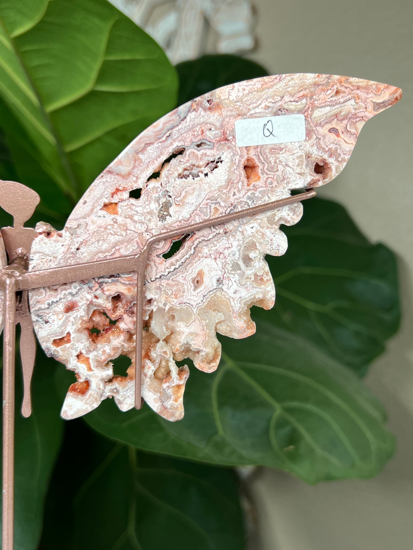 Crazy Lace Agate Wings