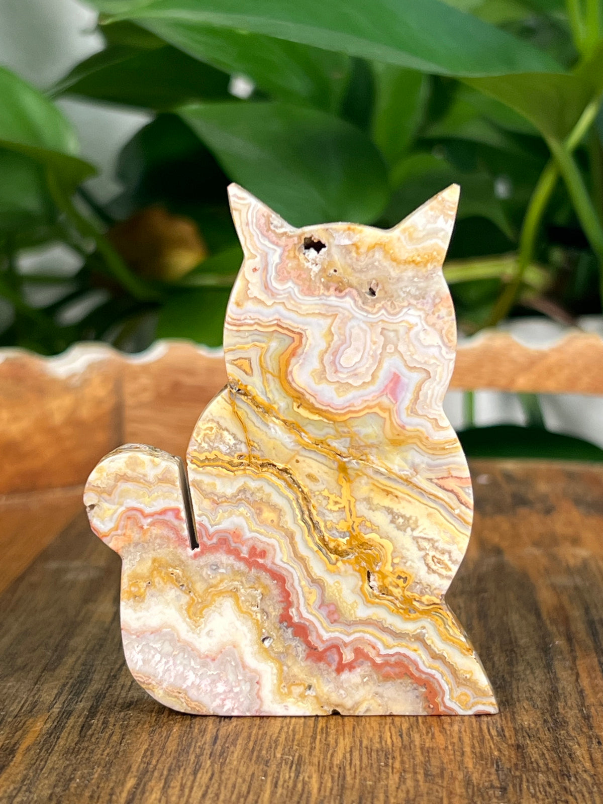 Crazy Lace Agate Small Cats