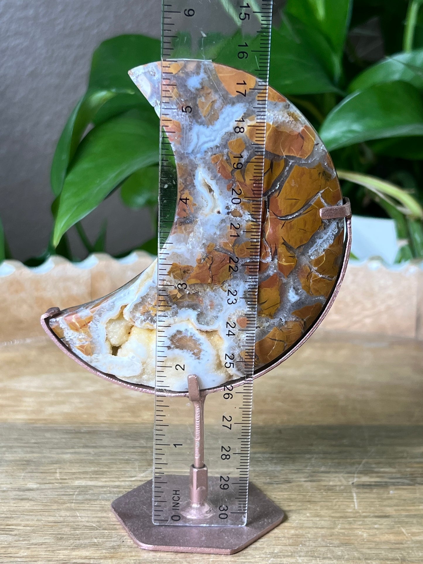 Brecciated Jasper Moon