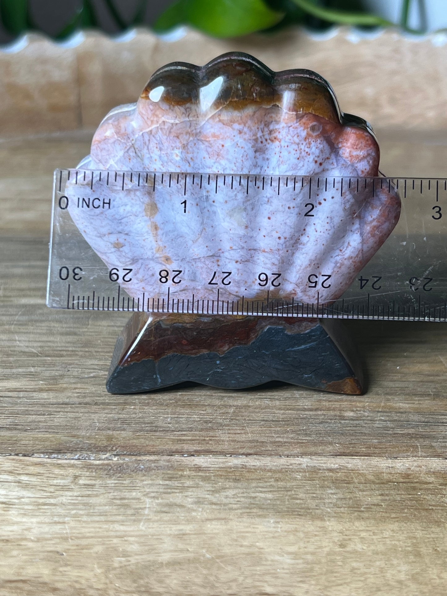 River Jasper Shell