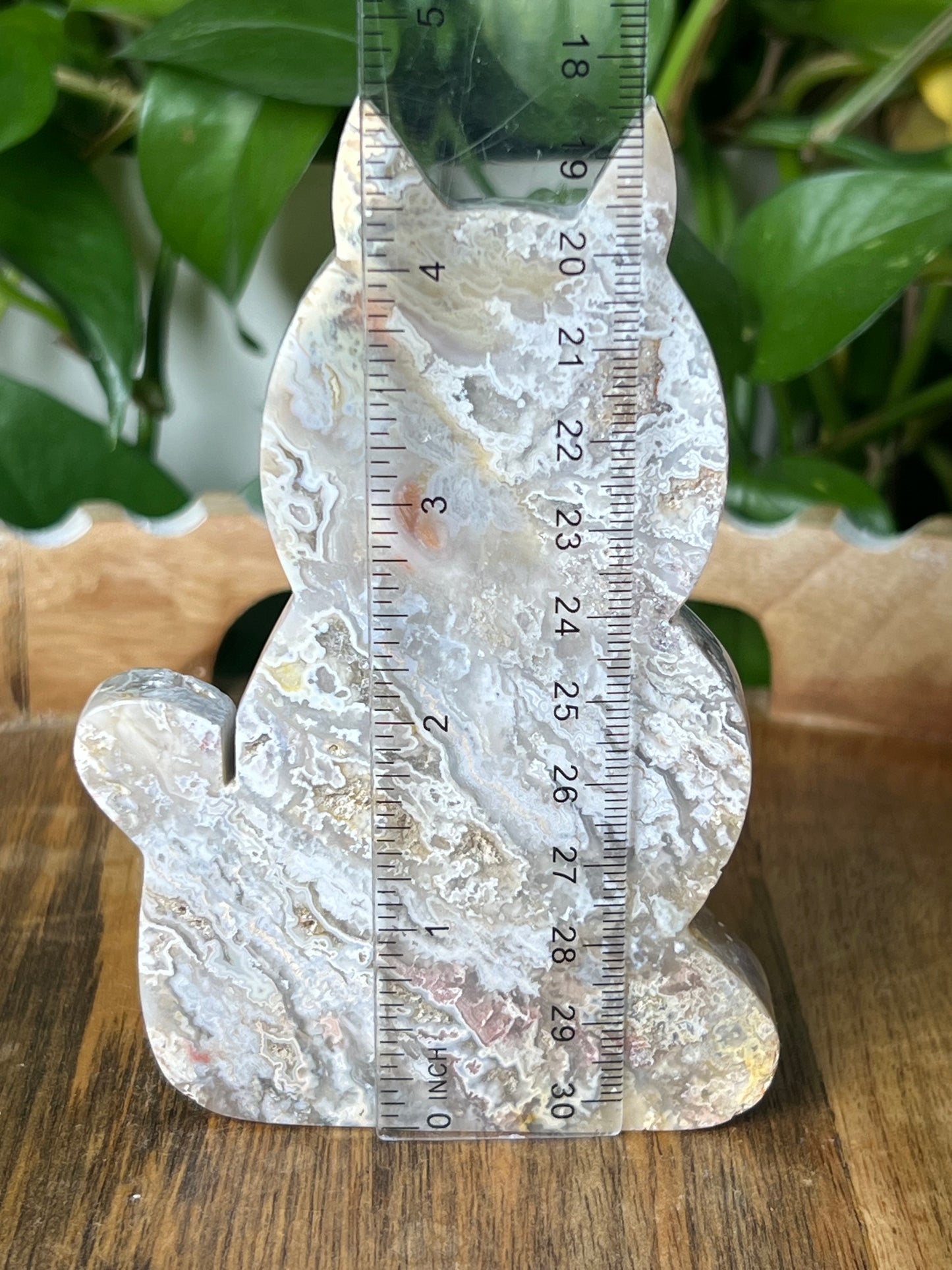 Sumatra Plume Agate Cat