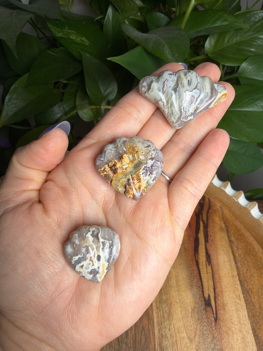 Sumatran Plume Agate Shells