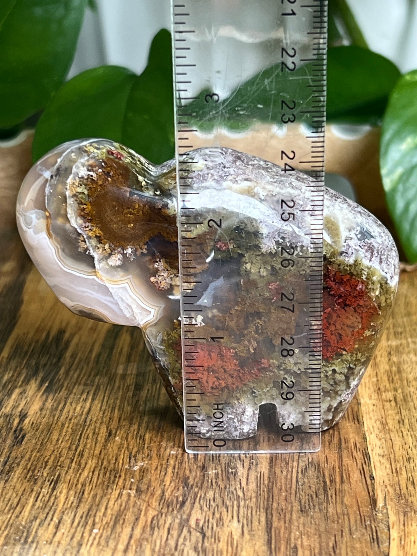 Scenic Moss Agate Buffalo ME