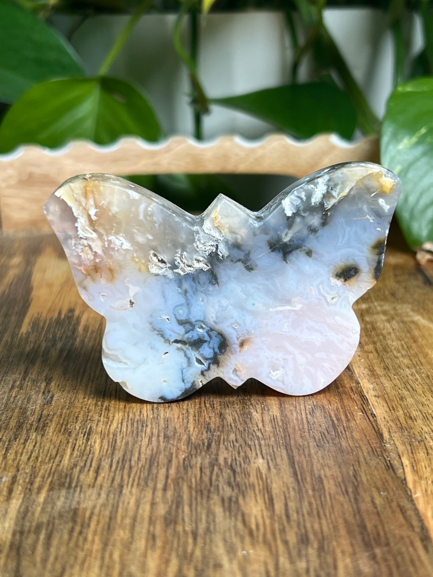 Rainbow Plume Agate Butterfly RD