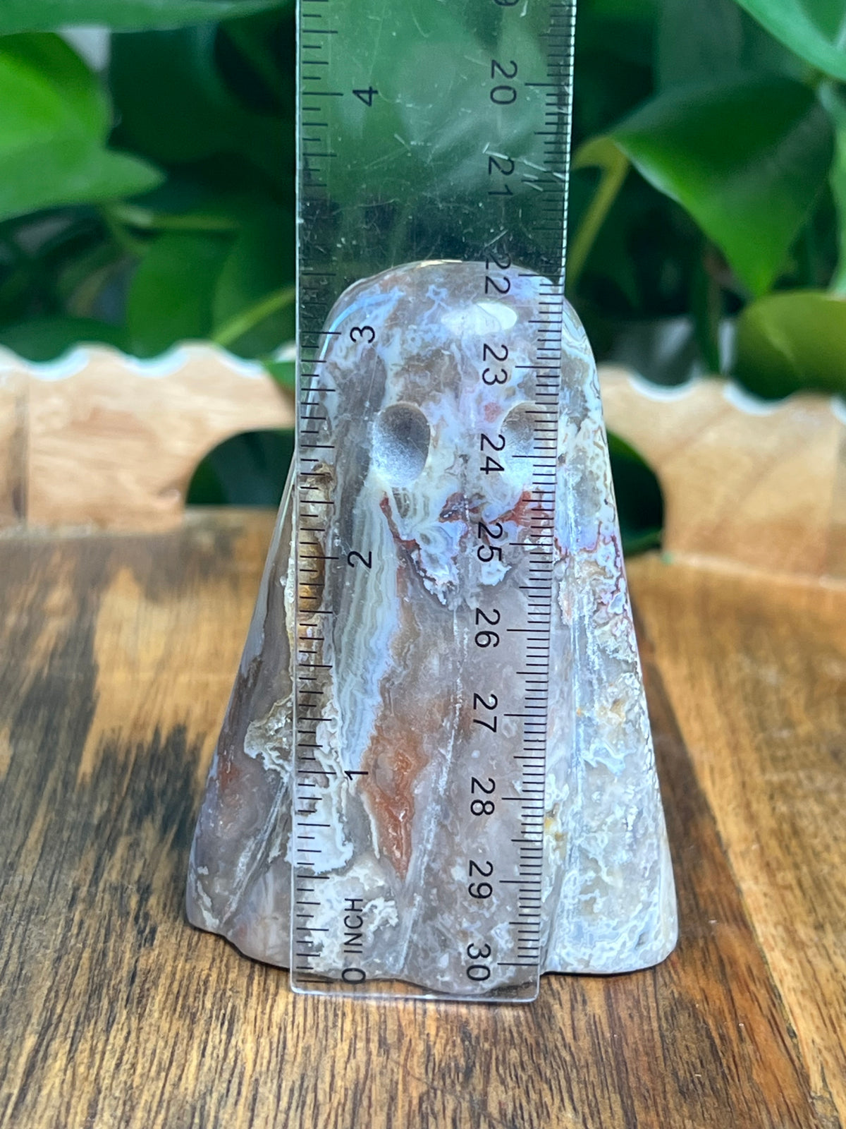 Sumatra Plume Agate Ghost: Y