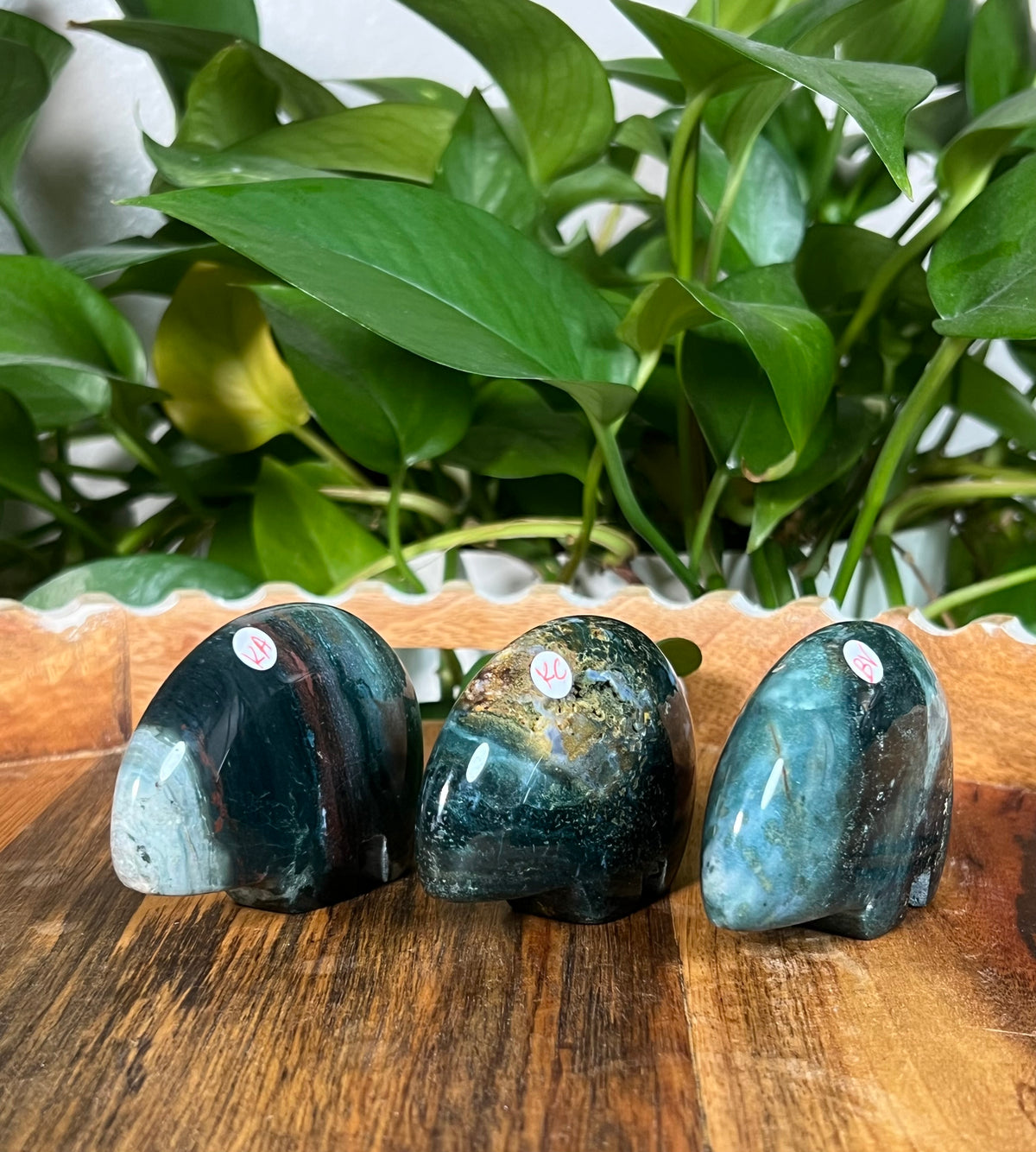 Blue Green Jasper Bears