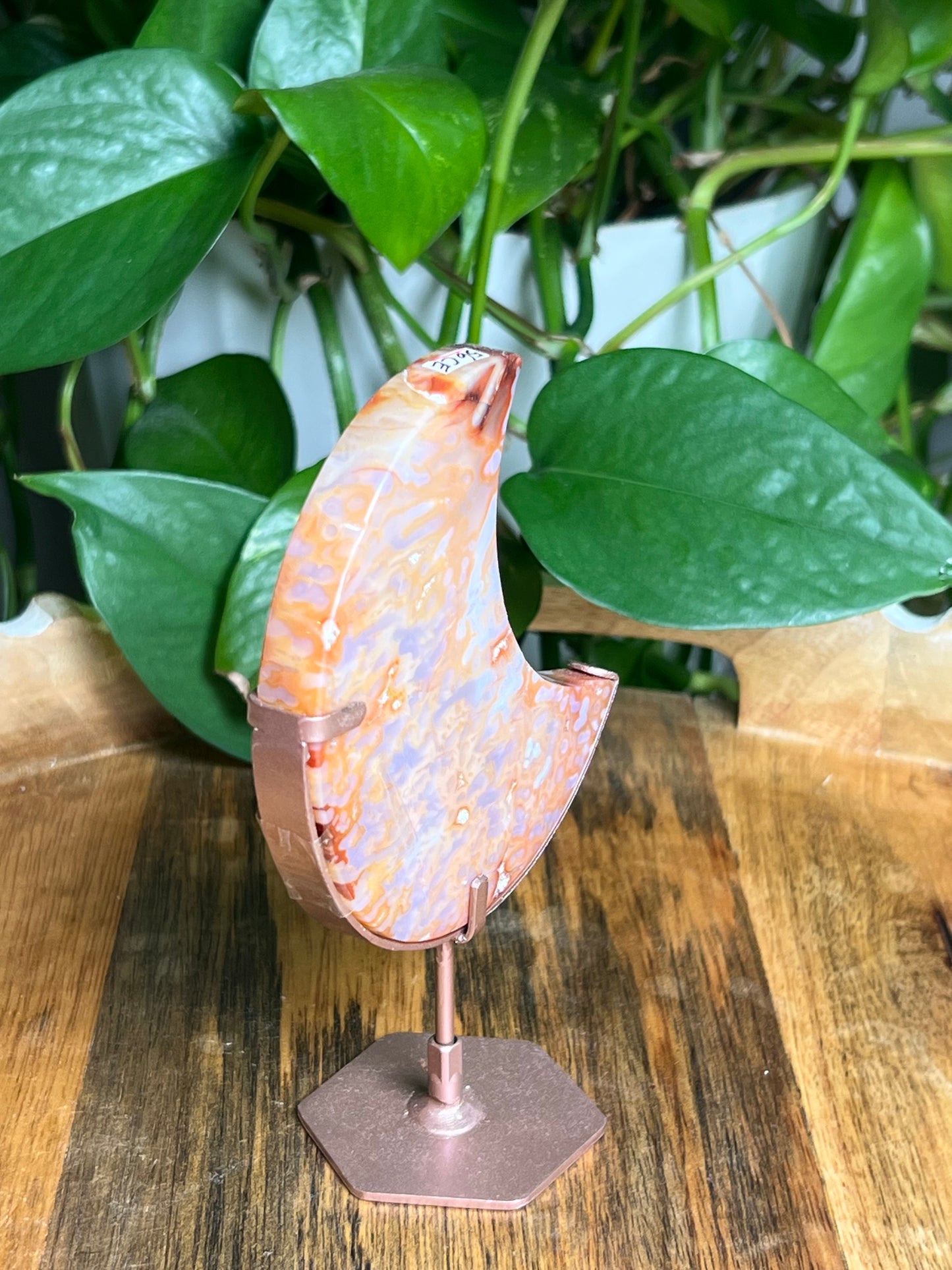 Carnelian Moon: CE