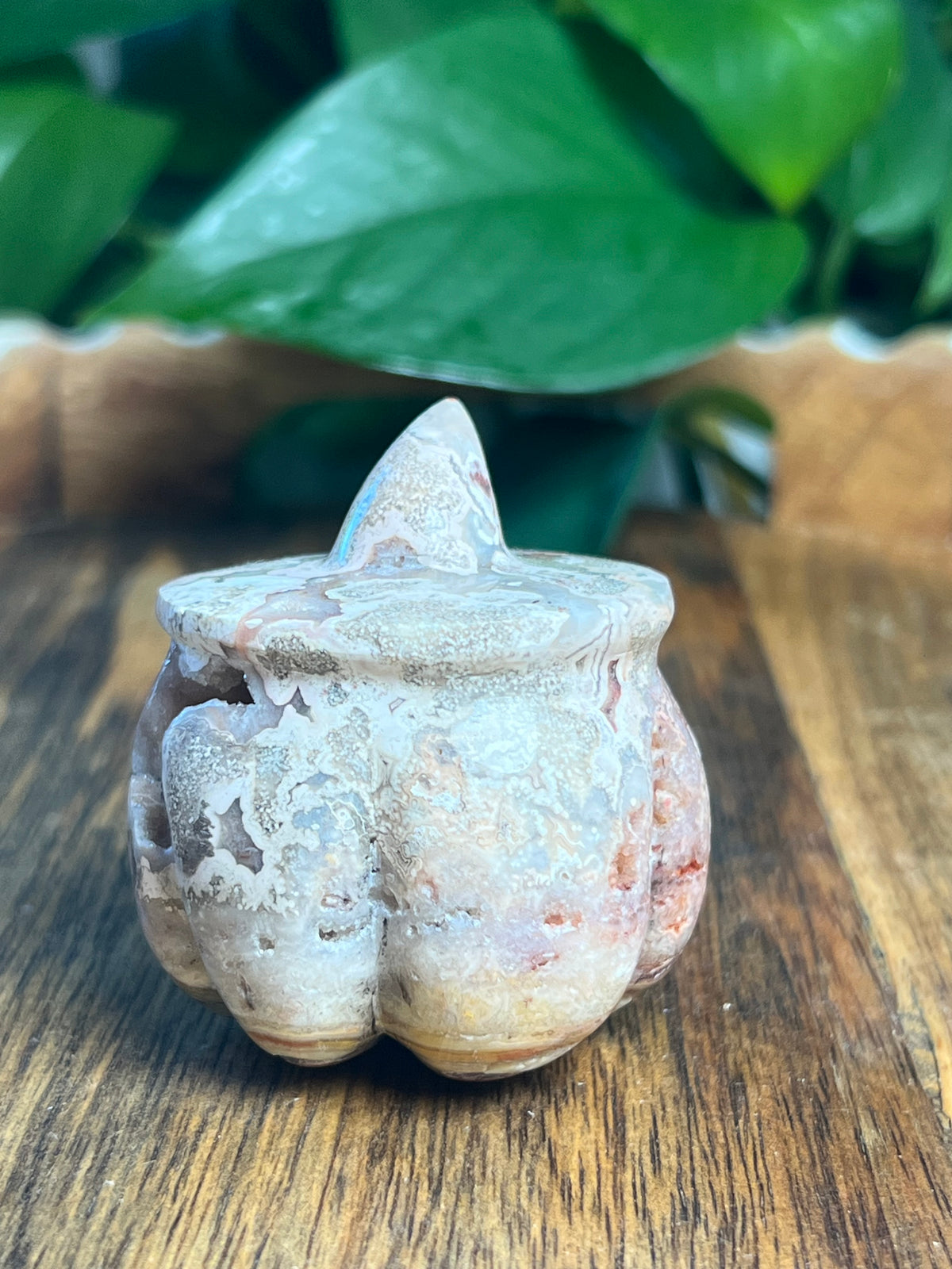 Crazy Lace Agate Pumpkin: A