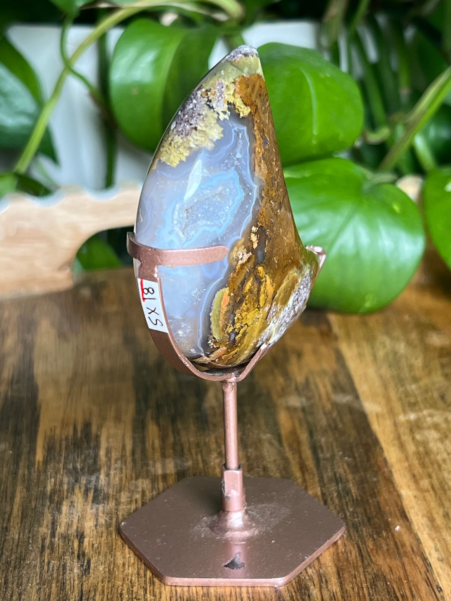 Scenic Moss Agate Moon