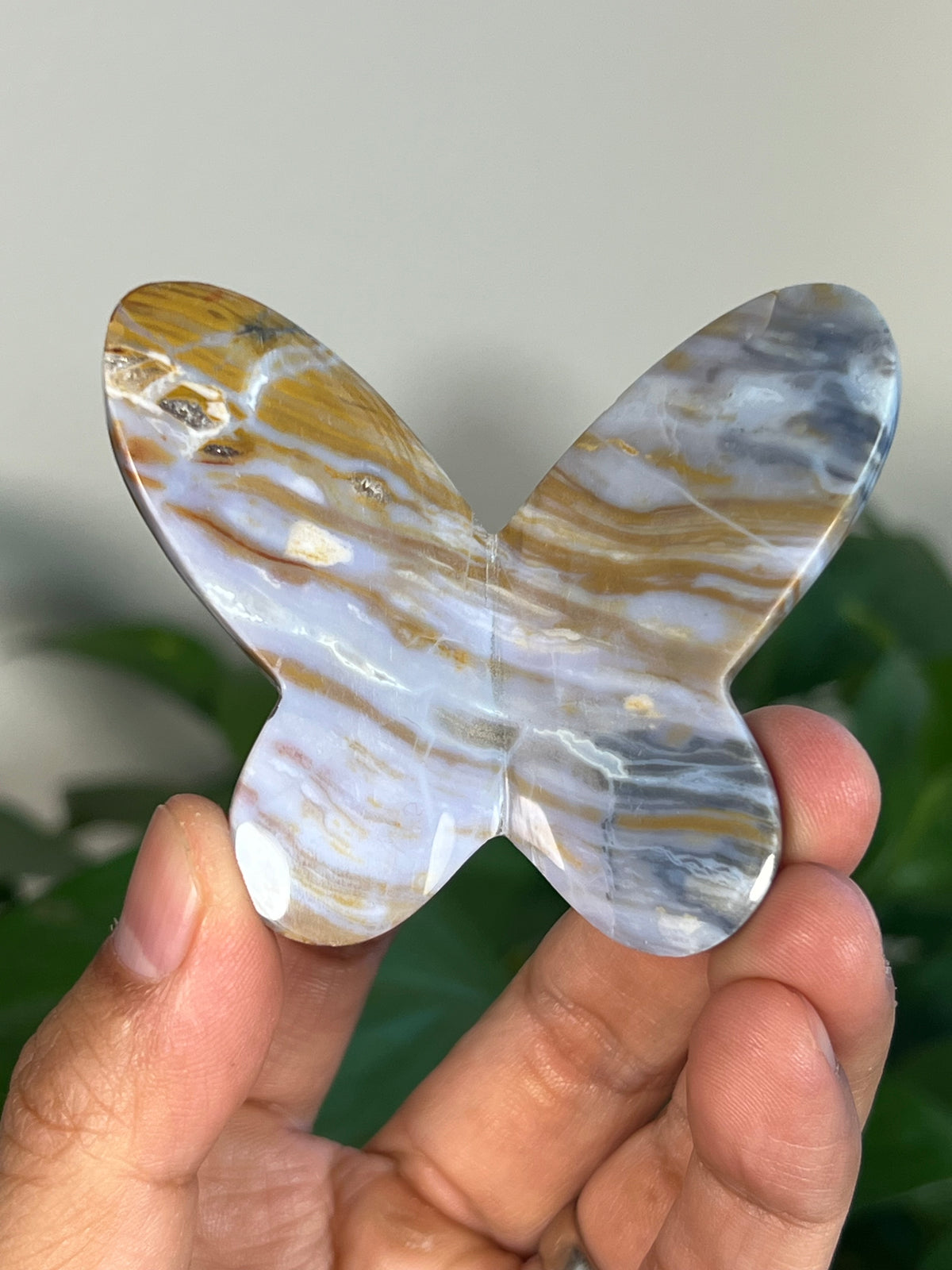 Milky River Jasper 3D Butterflies