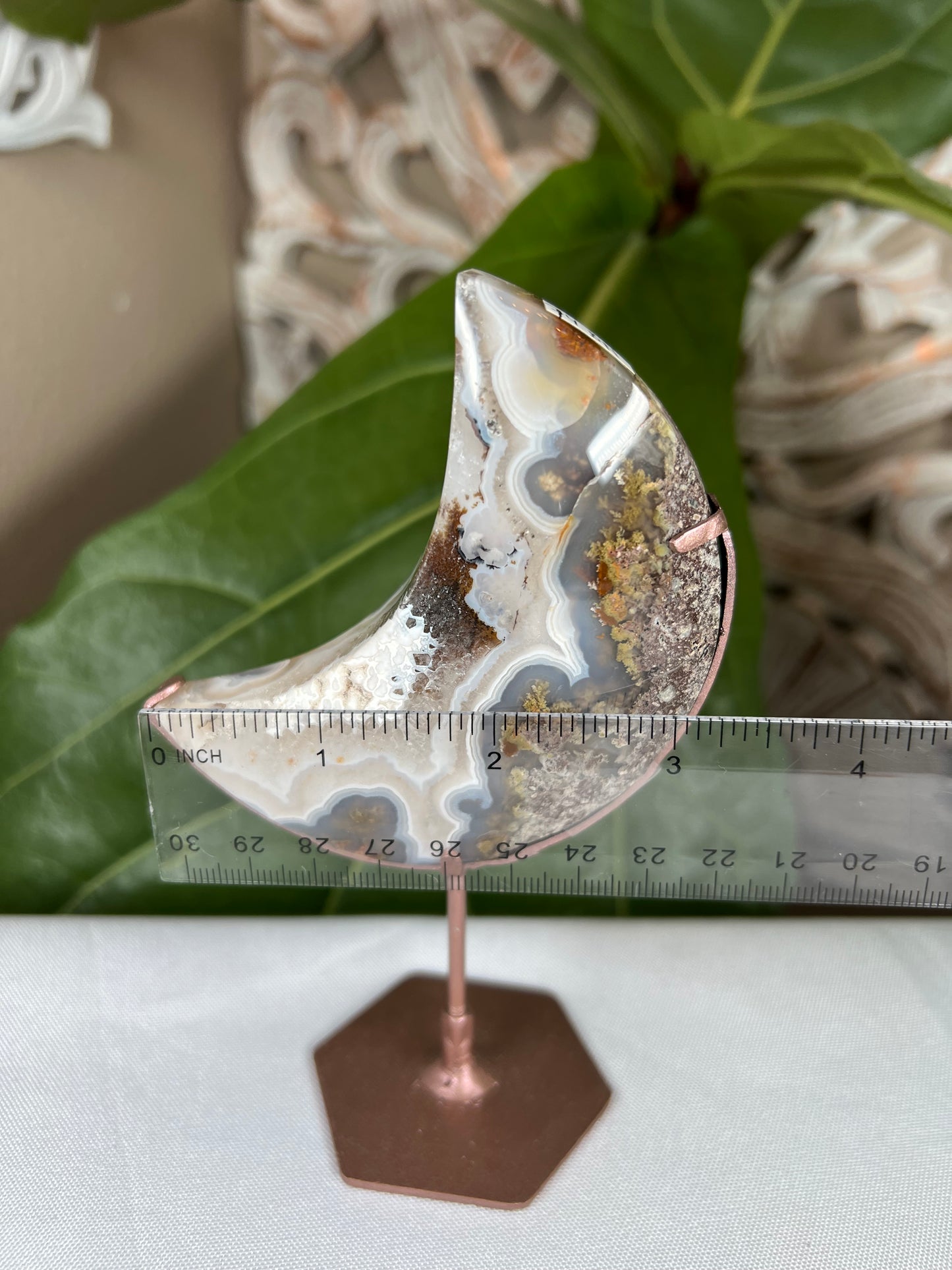 Scenic Moss Agate Moon