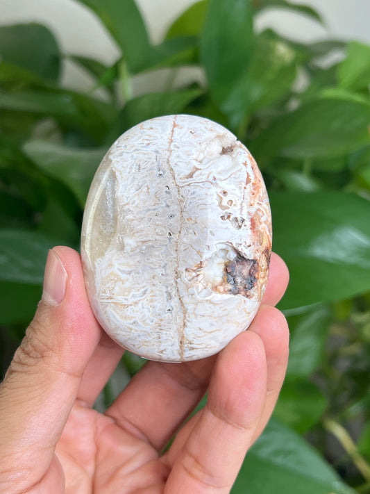 Tube Agate Palmstone: MB