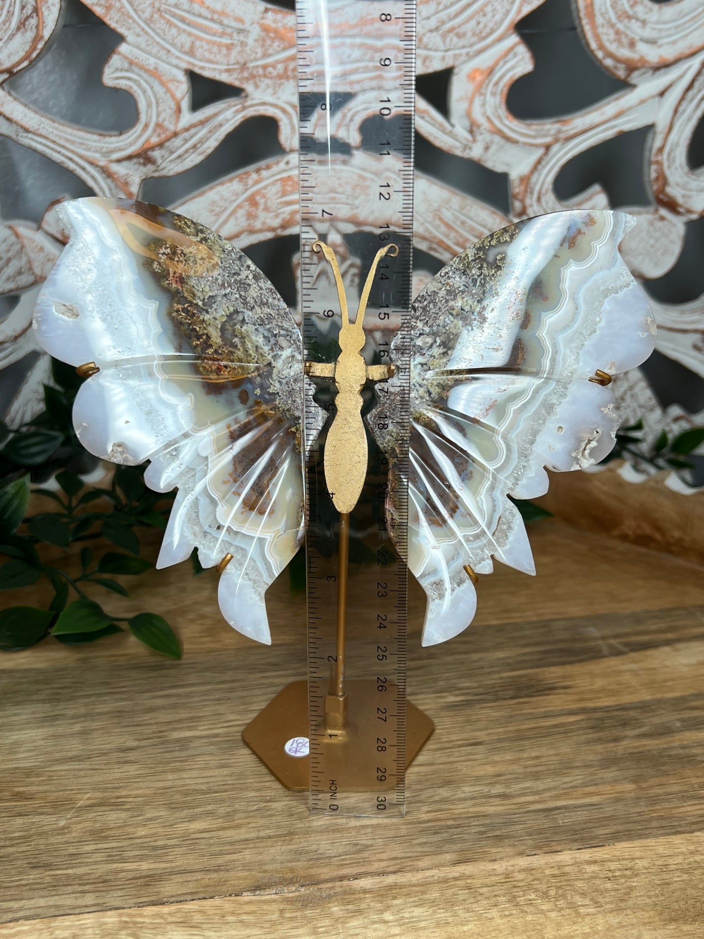 Scenic Moss Agate Wings