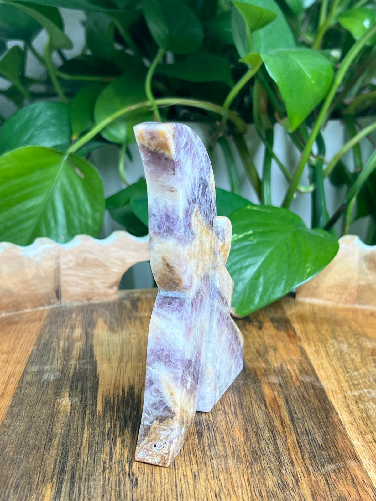 Indonesian Amethyst Fairy: LA
