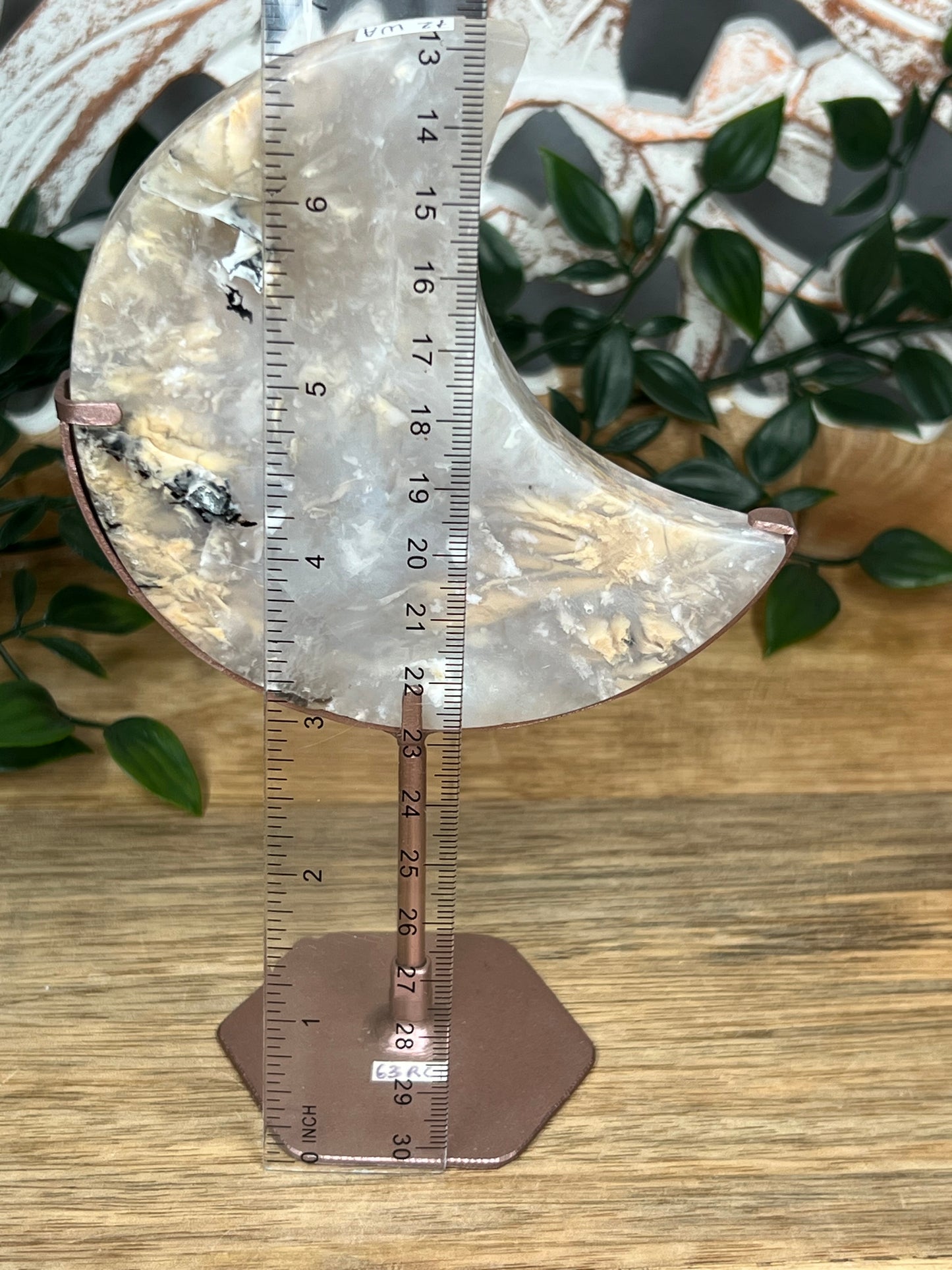 Dendritic Tiger Agate Moon