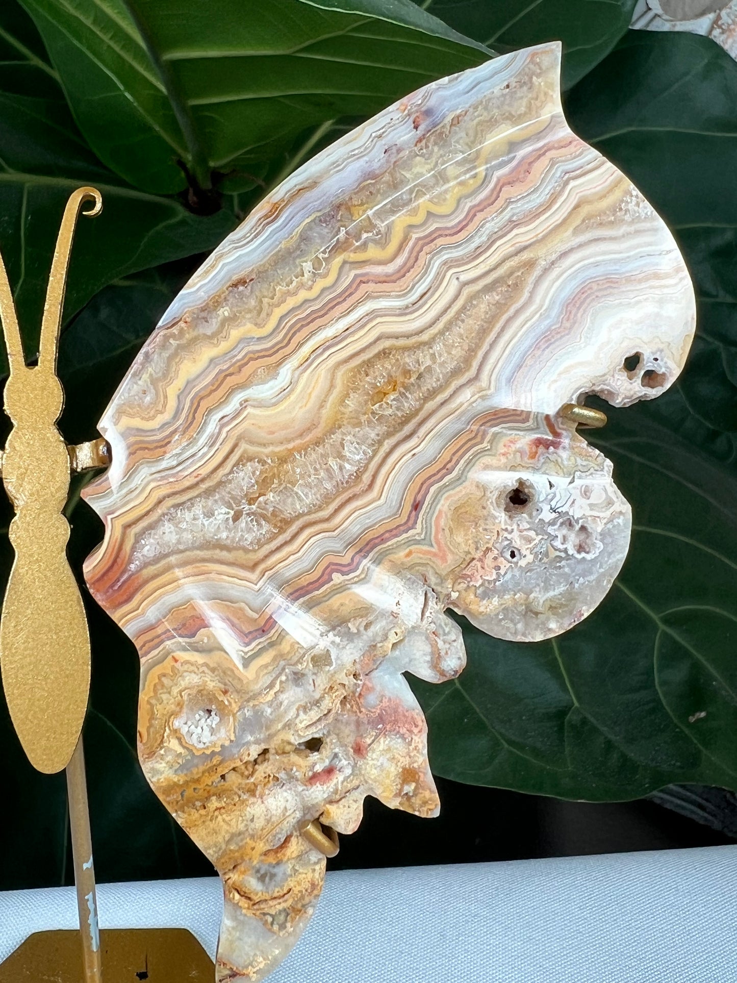 Crazy Lace Agate Wings