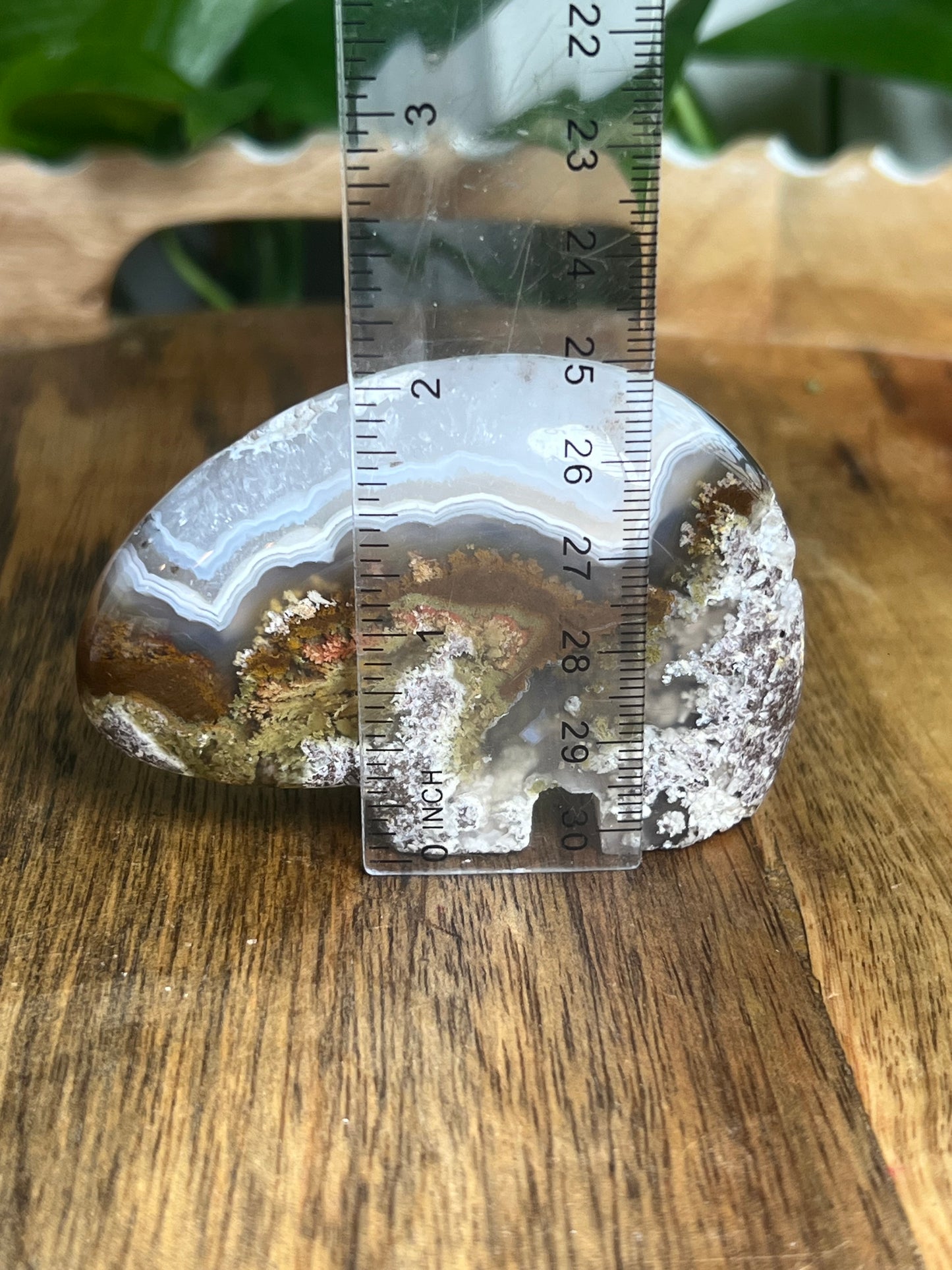 Scenic Moss Agate Bear BQ