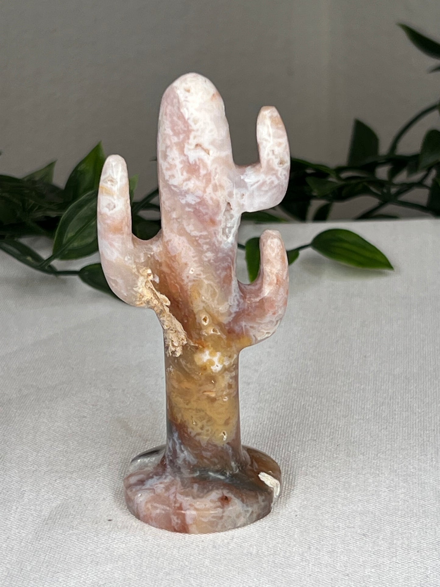 Rainbow Plume Agate Cactus