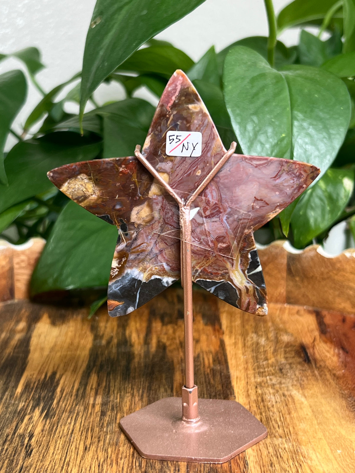 River Jasper Star: NY