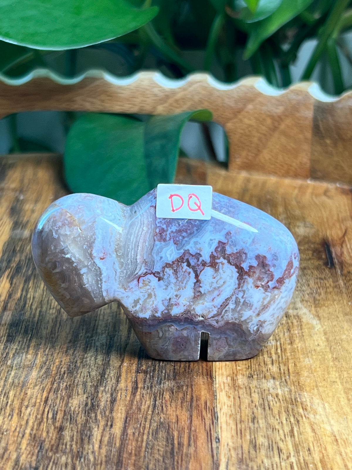 Sumatra Plume Agate Mini Buffalos