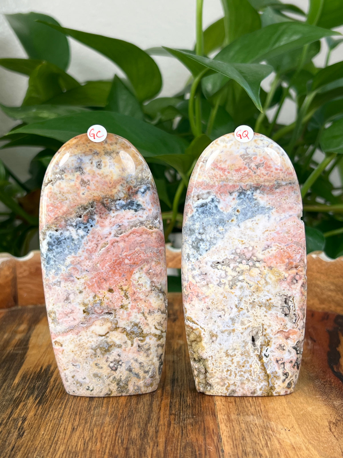 Sea Jasper Freeforms