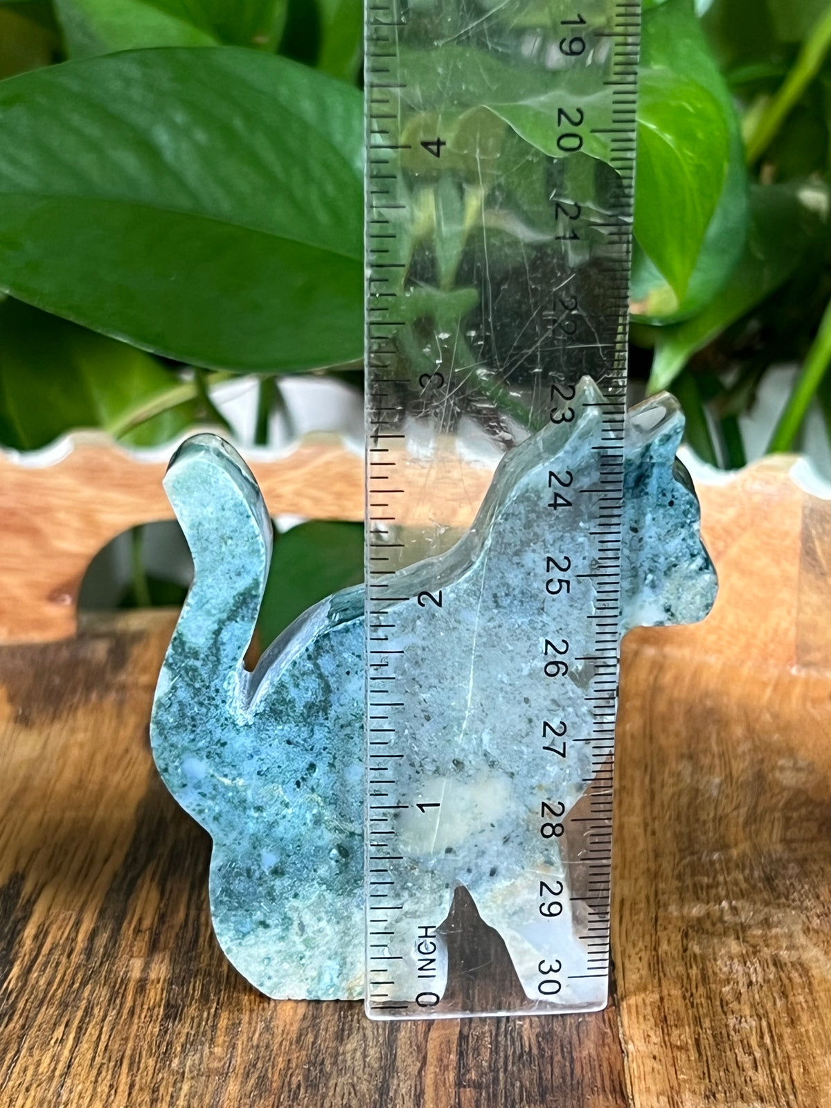 Blue Green Jasper Cats