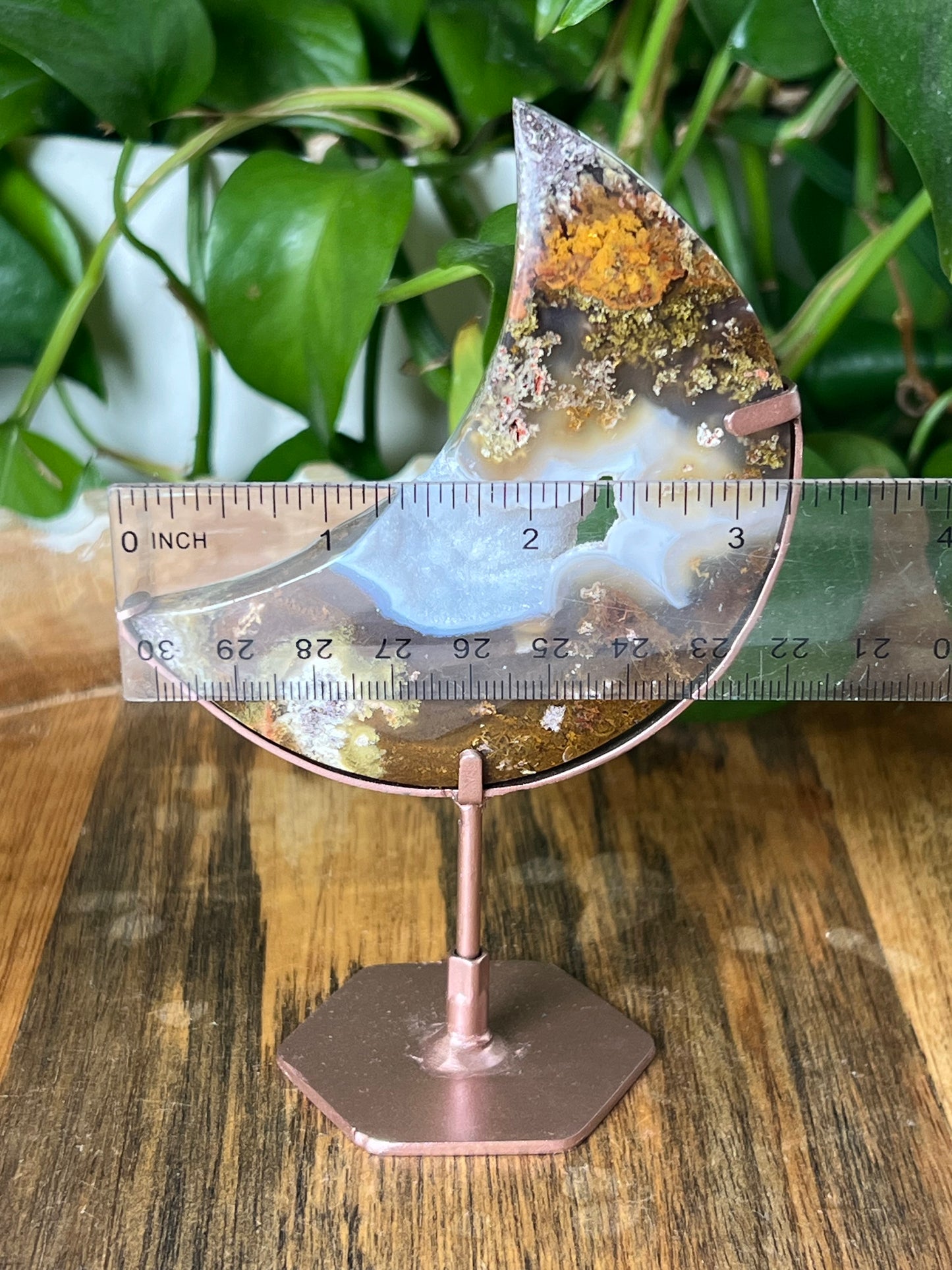 Scenic Moss Agate Moon