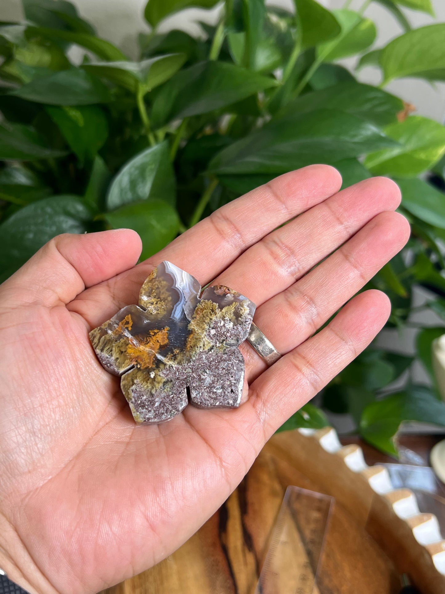 Scenic Moss Agate Flower NG