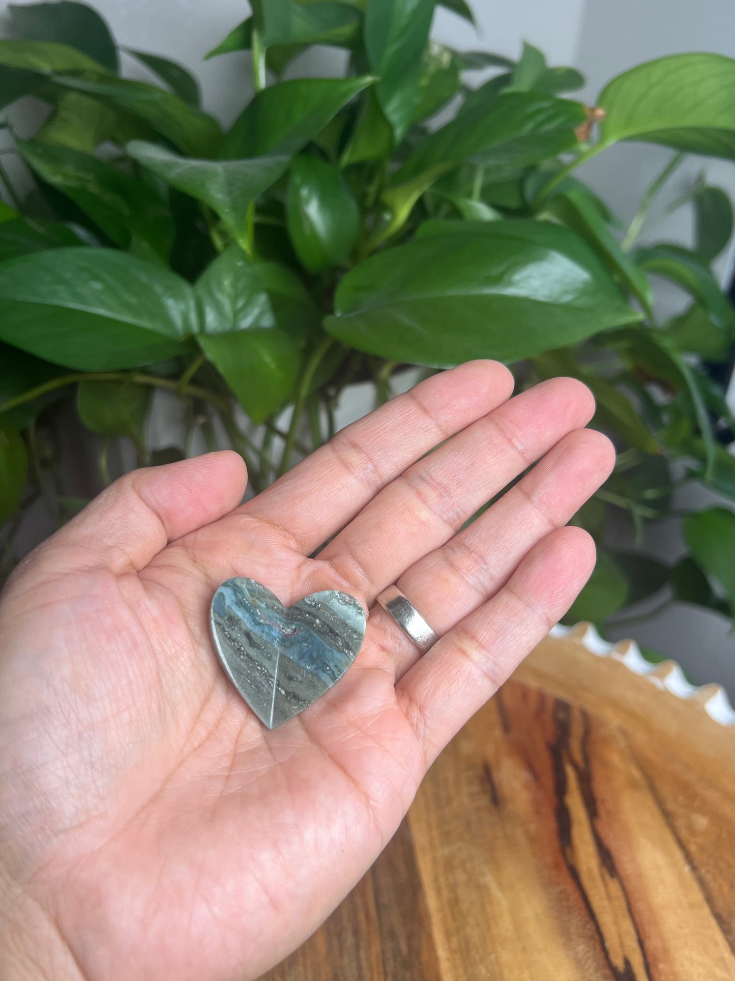 Blue Green Jasper 3D Butterfly Heart: DG