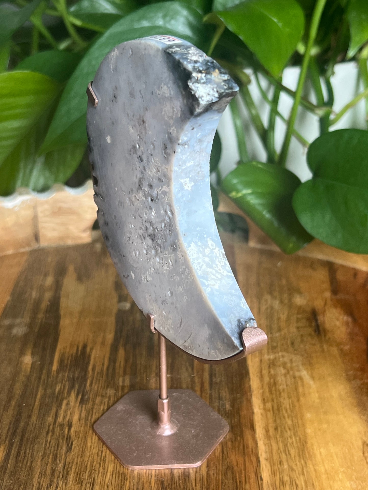 Blue Plume Agate Moon DD