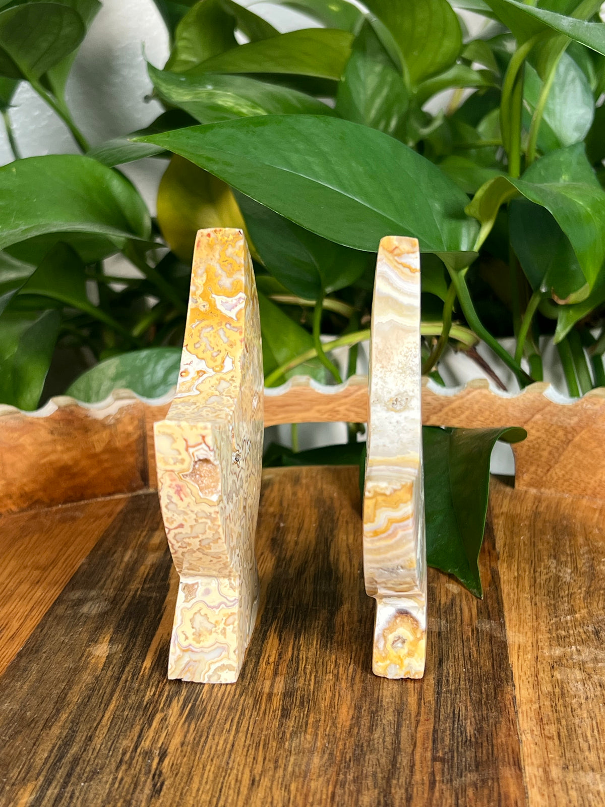 Yellow Crazy Lace Agate Self Standing Moons