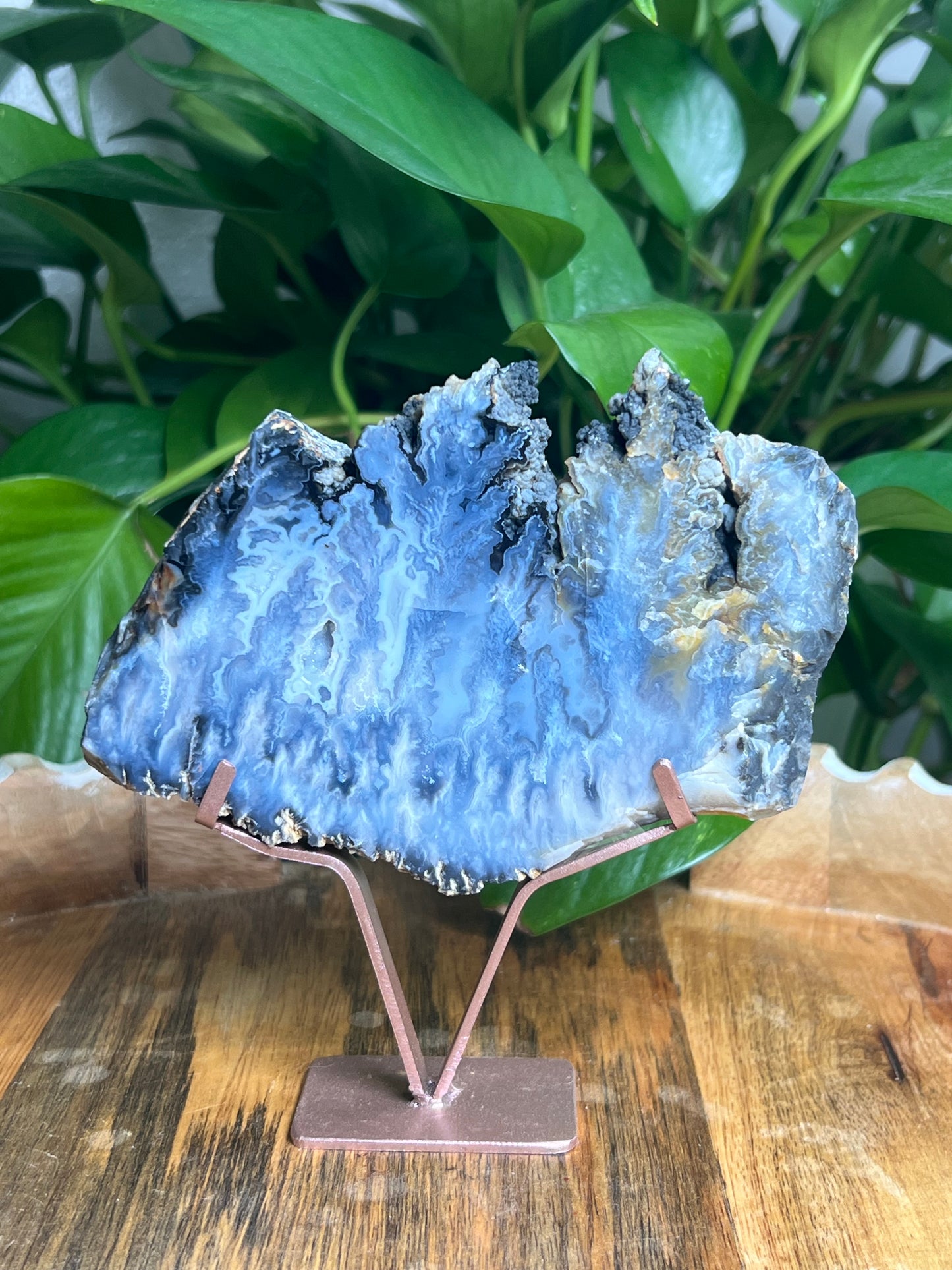 Blue Plume Agate Slab: AB
