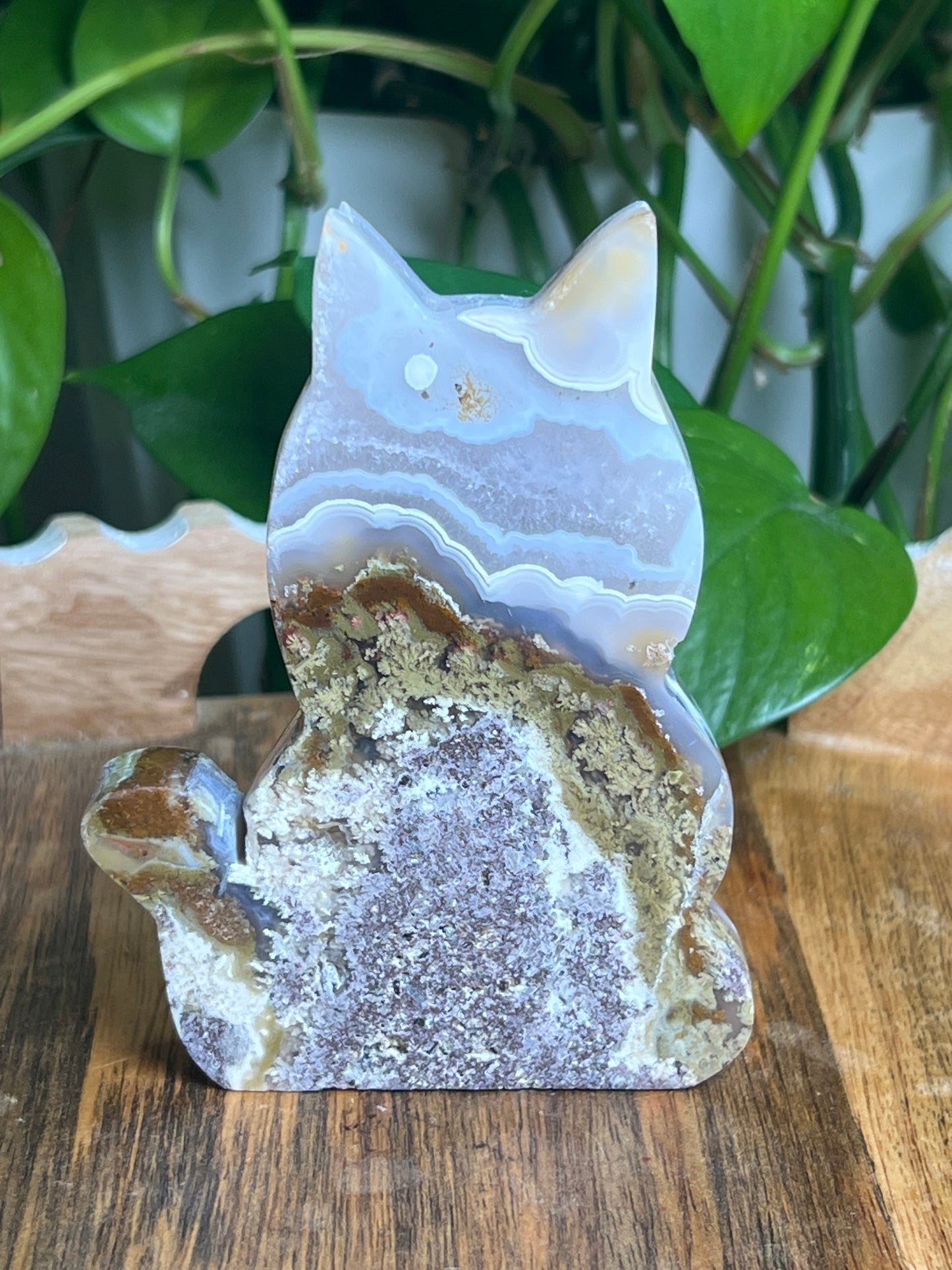 Scenic Moss Agate Cat: AD