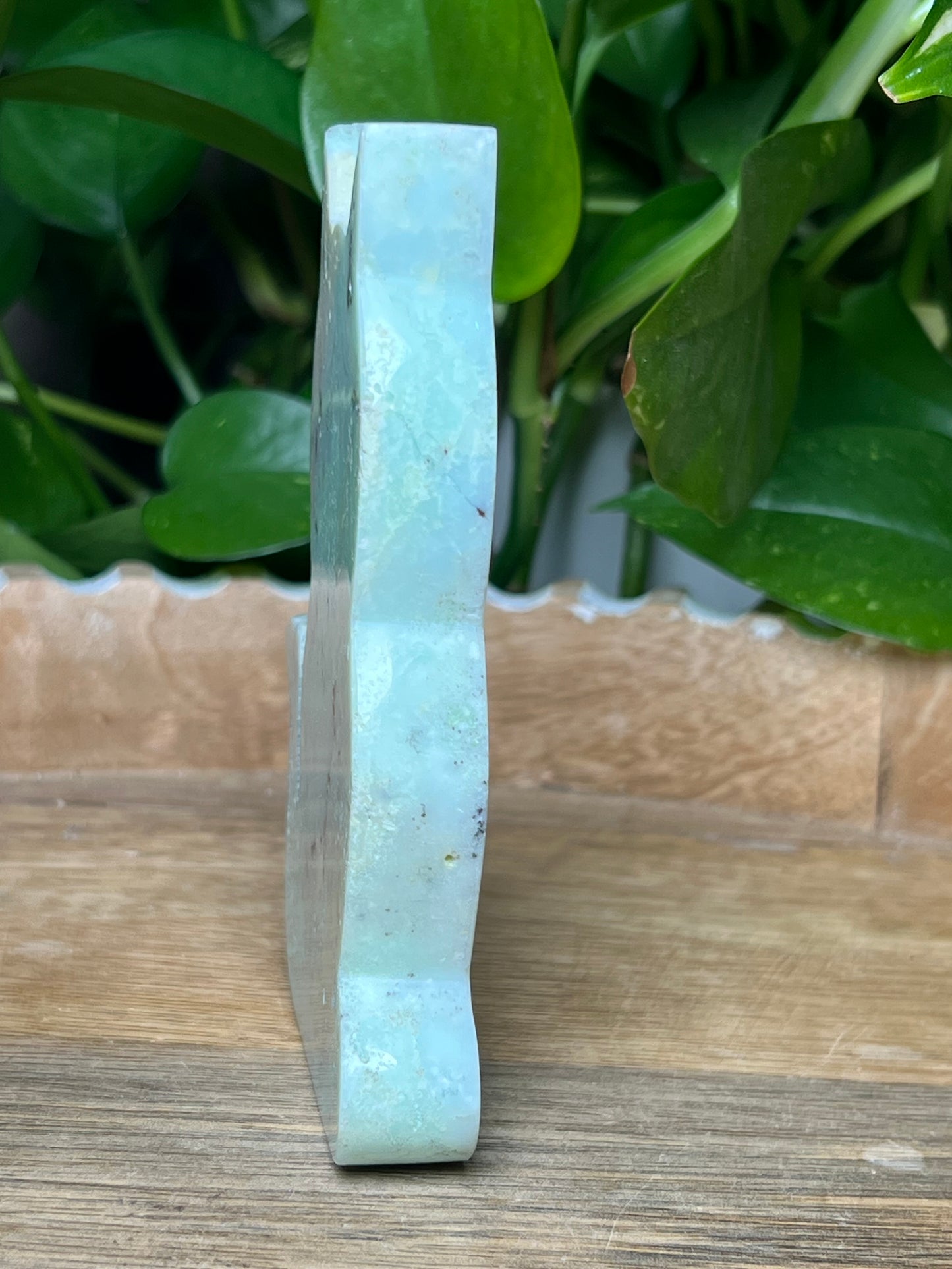 Chrysoprase Cat
