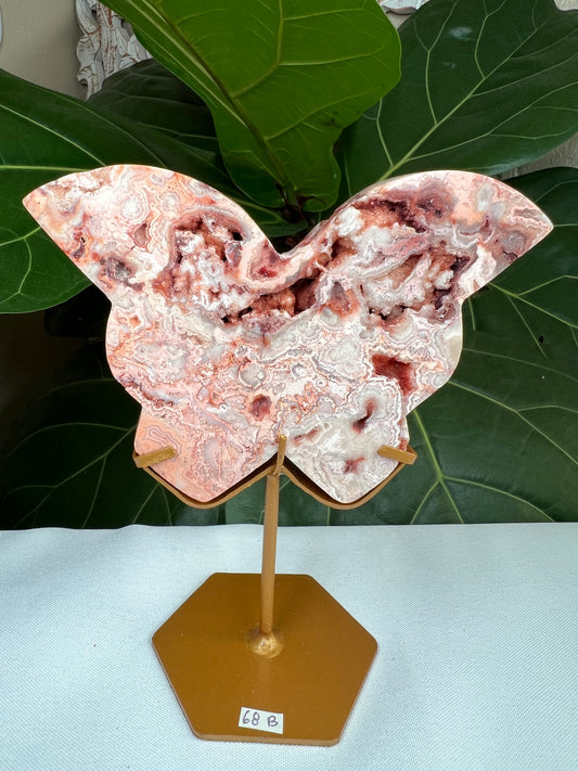 Crazy Lace Agate Butterfly