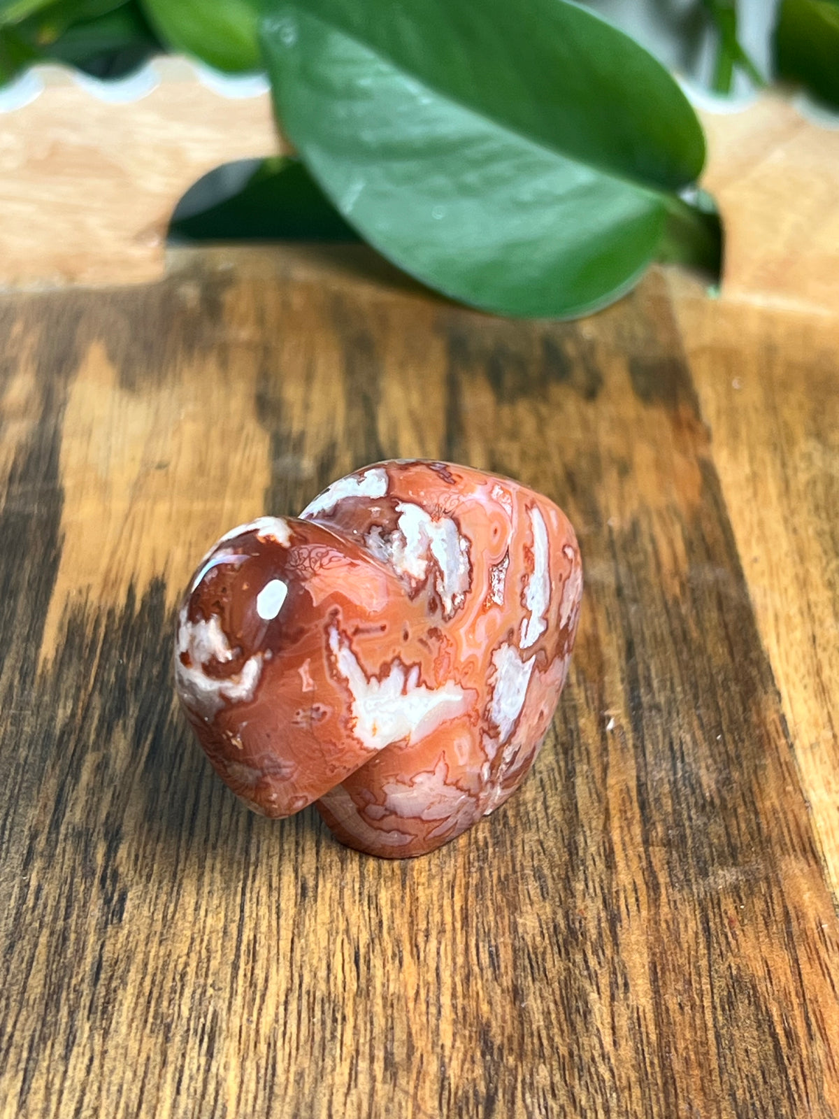 Carnelian Mini Buffalo: BK