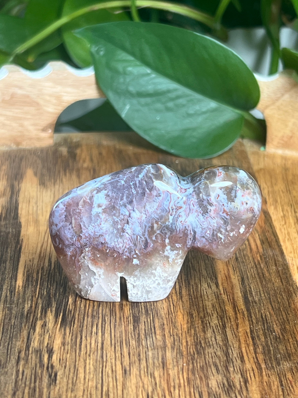 Sumatra Plume Agate Mini Buffalo: DD
