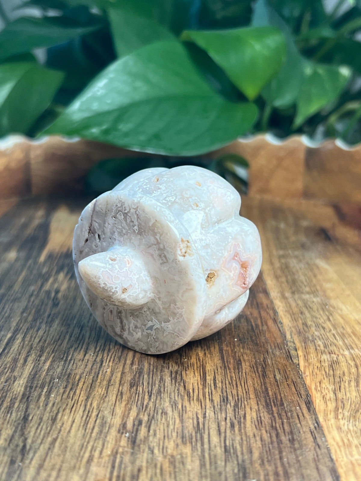 Crazy Lace Agate Pumpkin: D