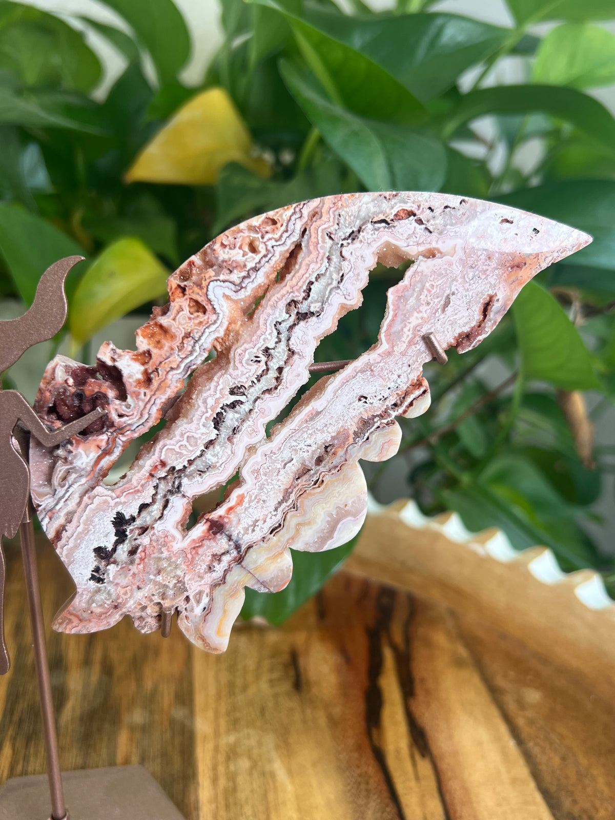 Crazy Lace Agate Wings P