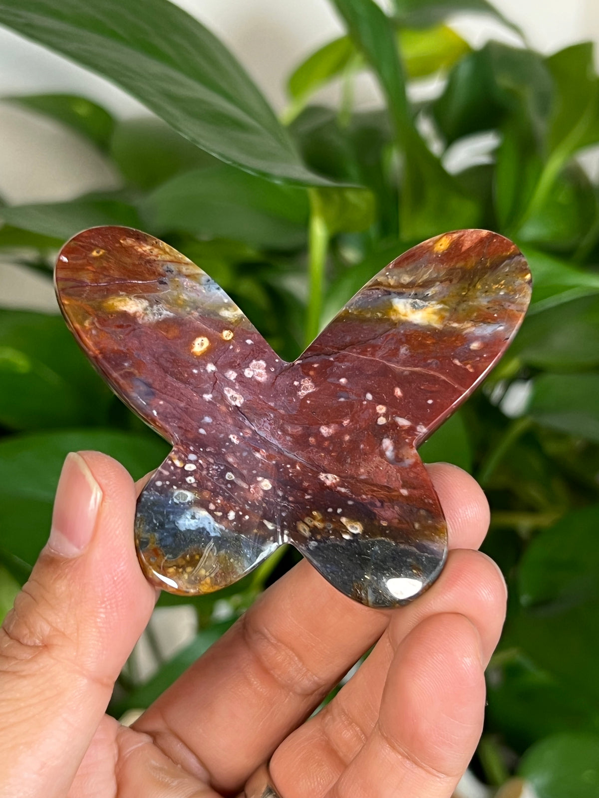 River Jasper 3D Butterflies