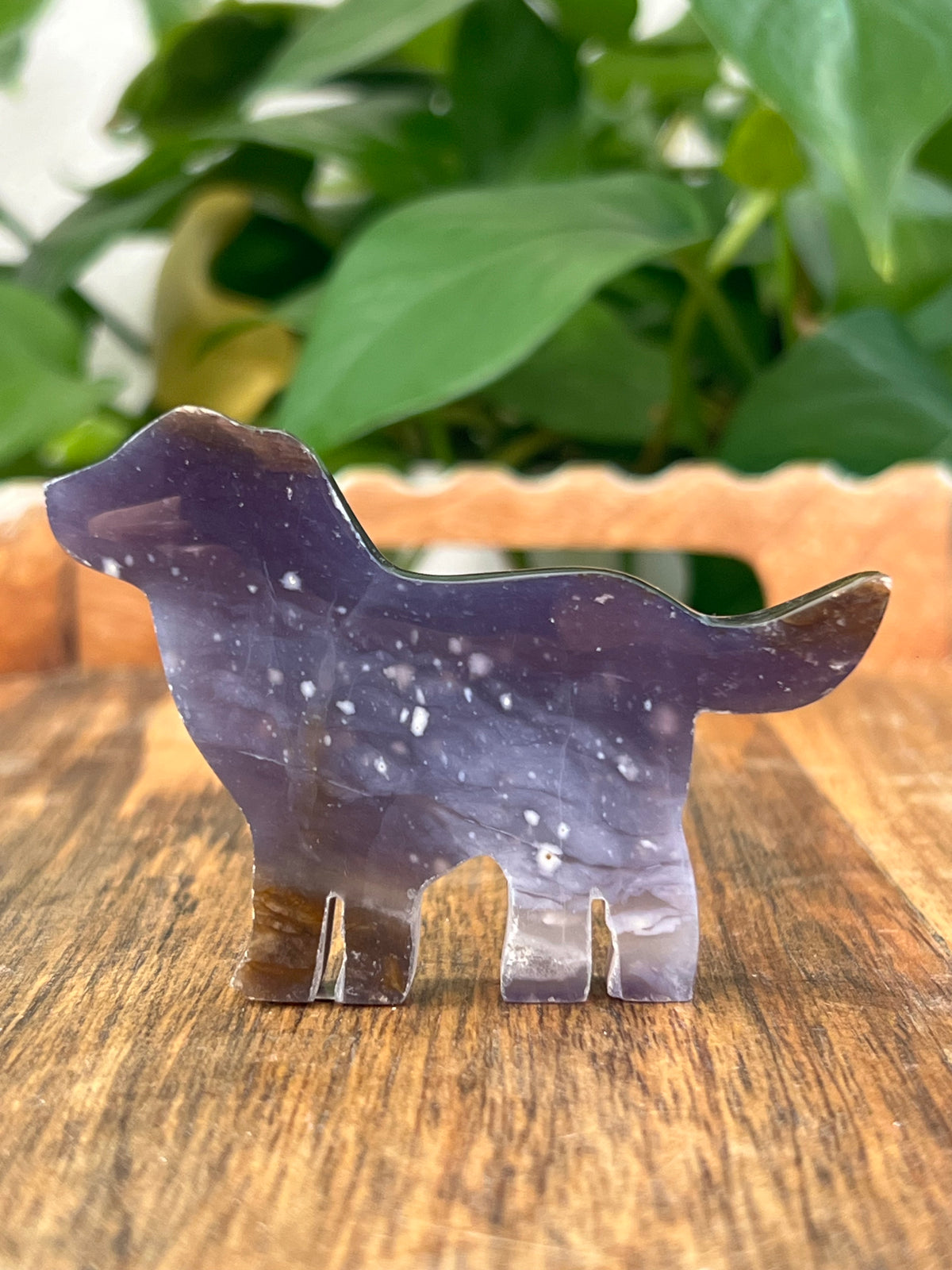 Purple Chalcedony Dogs