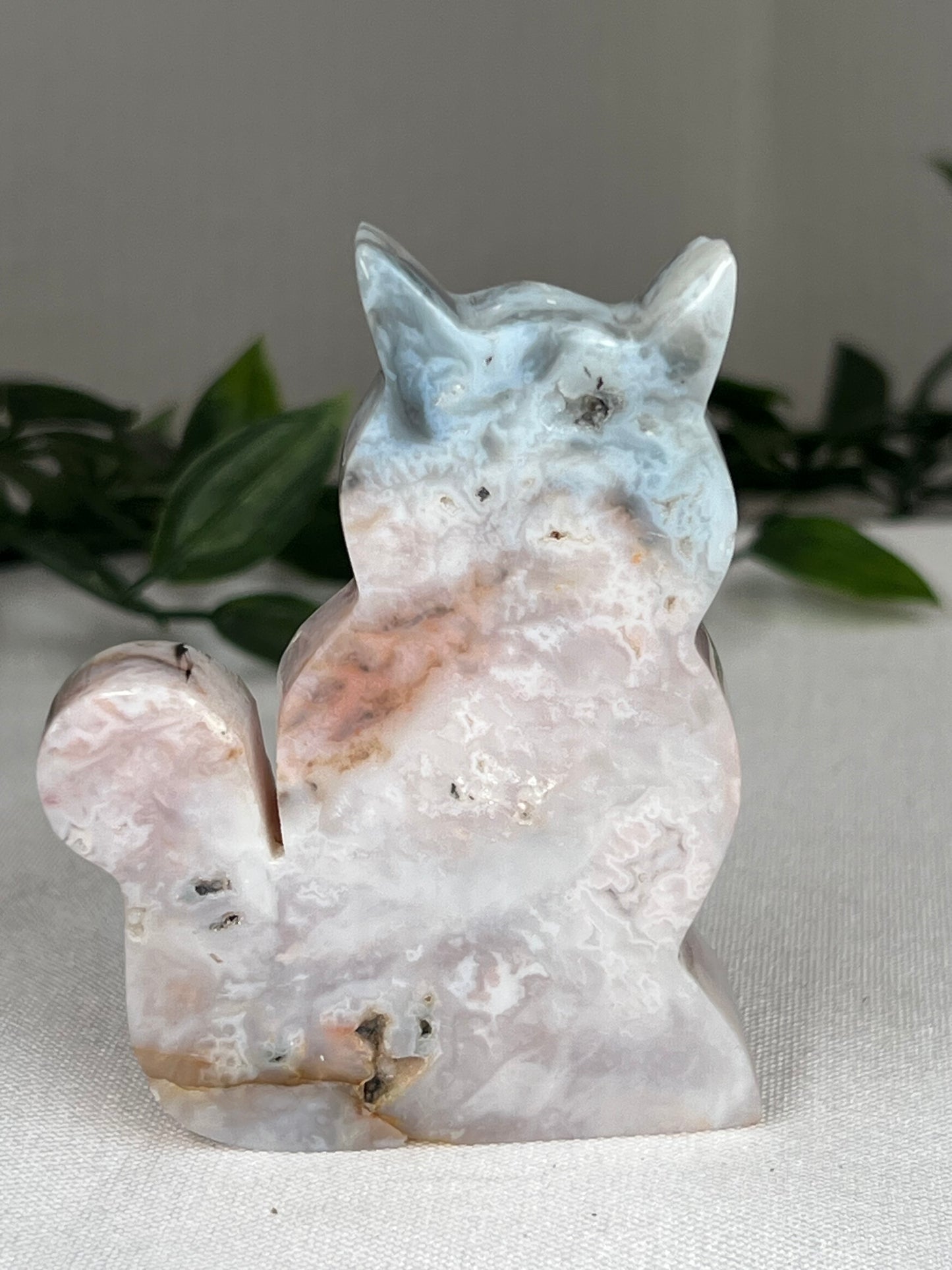 Rainbow Plume Agate Cat