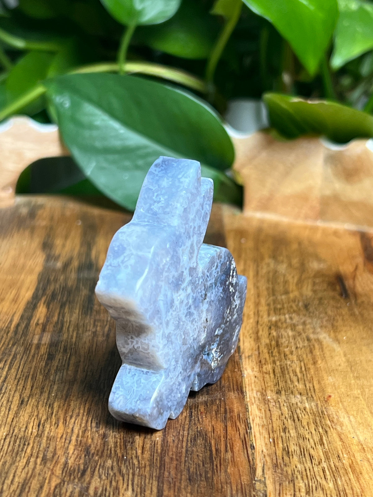 Blue Plume Agate Bunny: PC