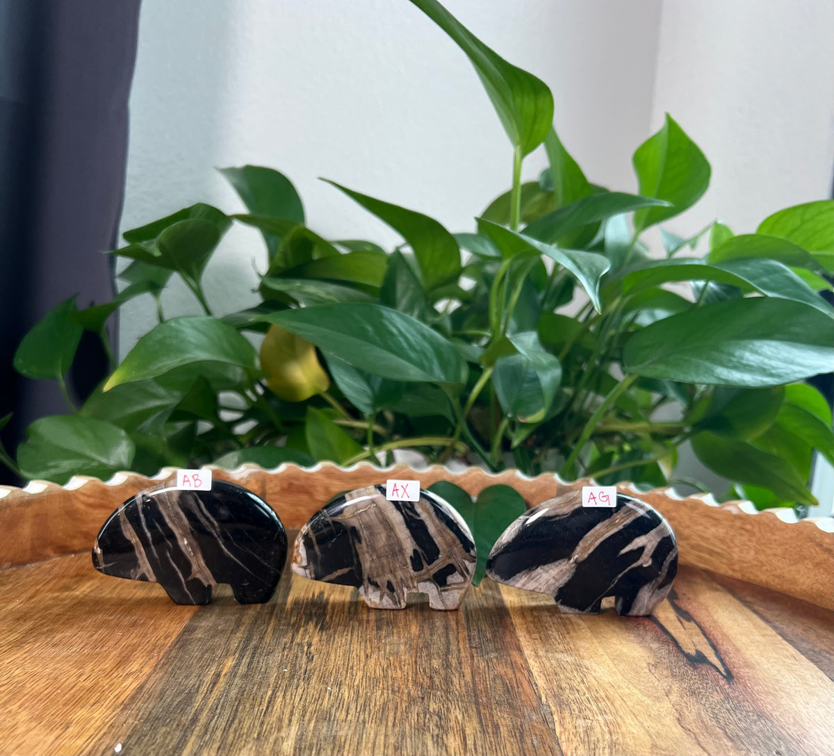 Fossil Wood Bears