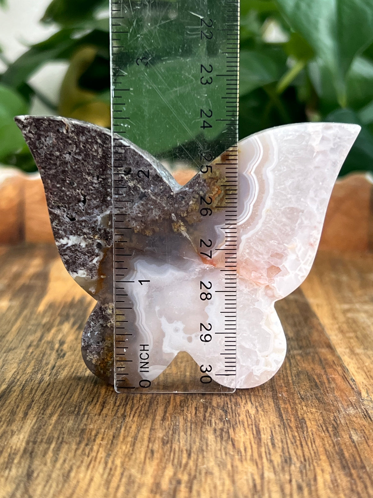 Scenic Moss Agate Butterfly: NA