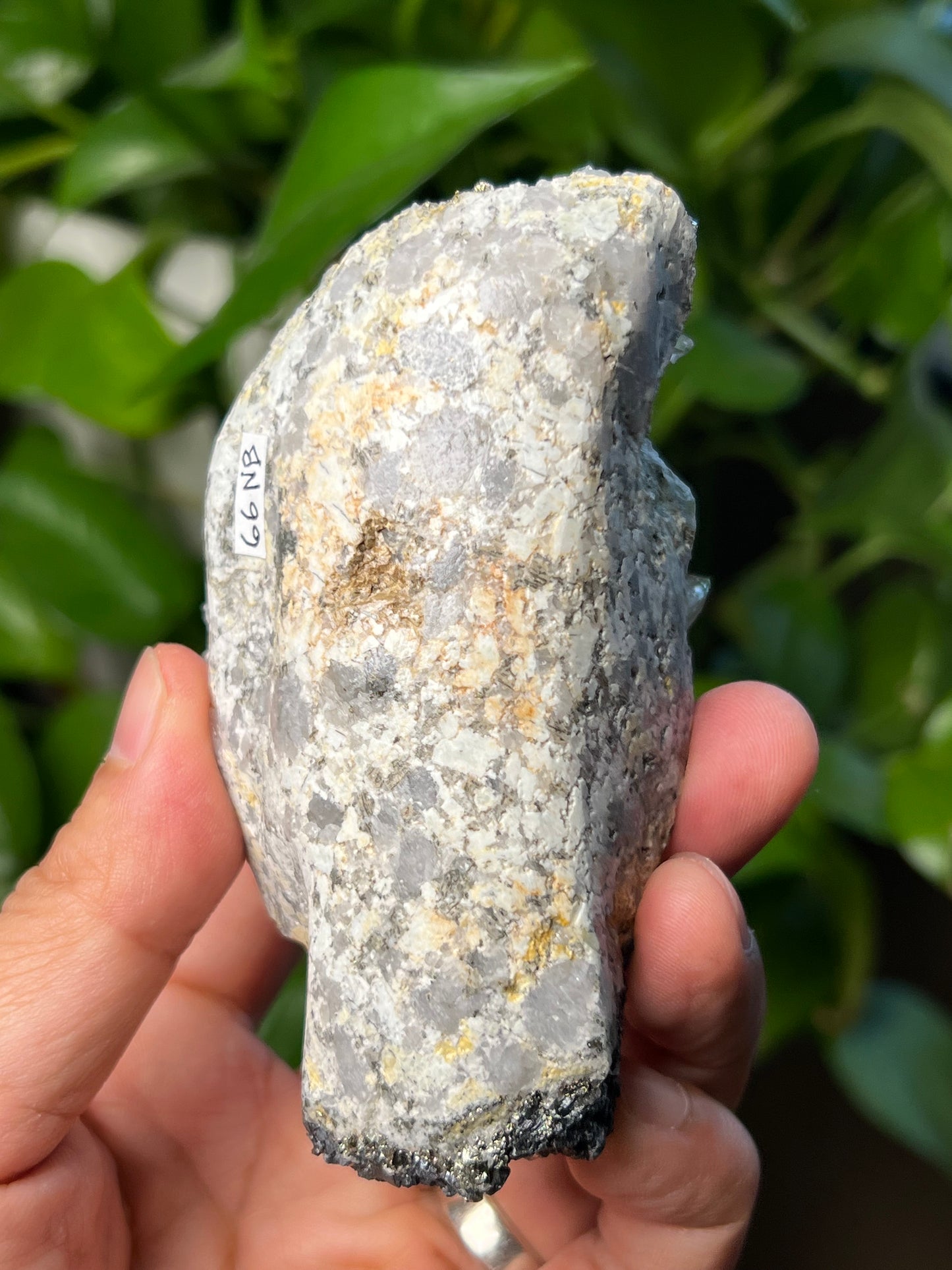 Rainbow Pyrite Quartz