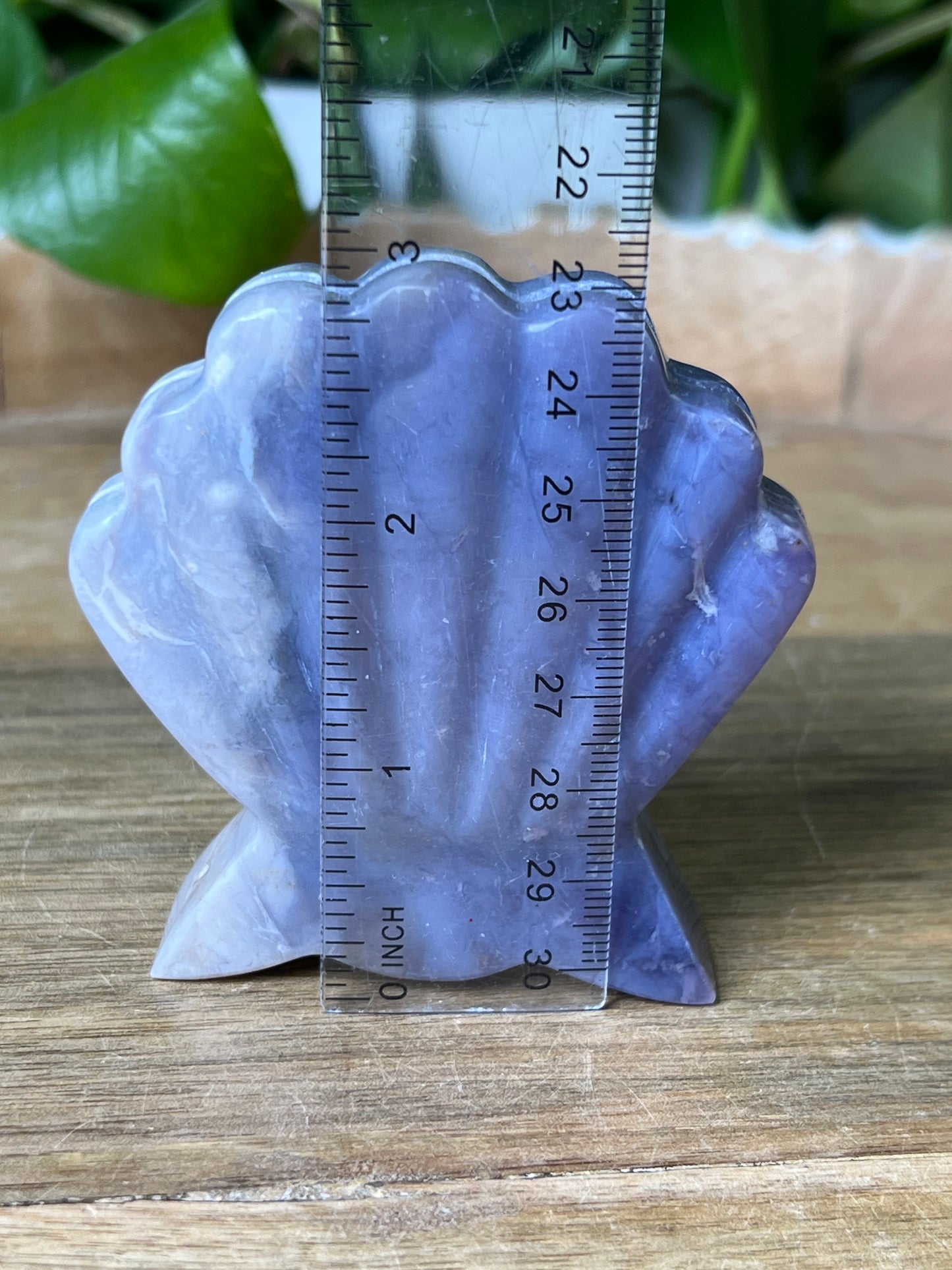 Purple Chalcedony Shell