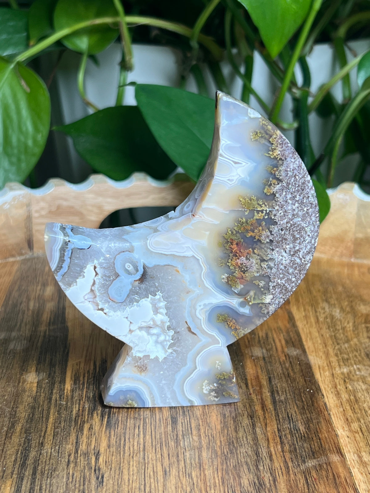 Scenic Moss Agate Self-Standing Moon: PZ